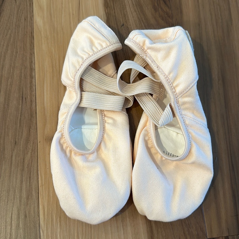 Brand new ballet slippers